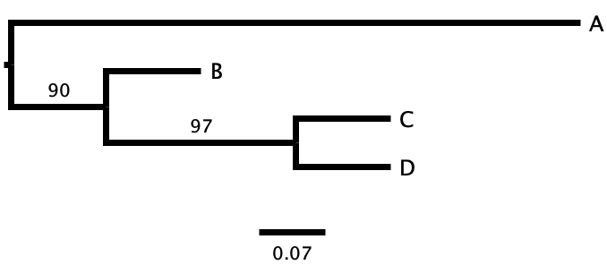 newick example3