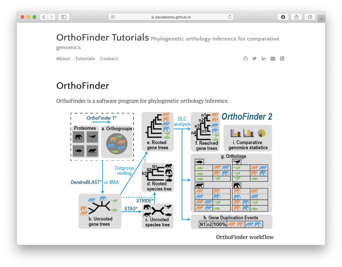 orthofinder主页