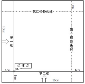 图1：点样及展层示范图